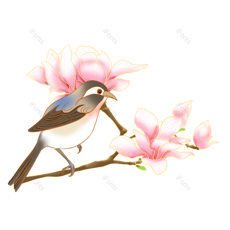 清新图片,粉色元素,PNG,免抠素材